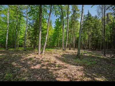 LOT 24 Bonita Point, Eagle River WI - Owner Finance Home