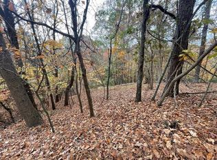 468 Cherokee Ct, Ellijay, GA 30540