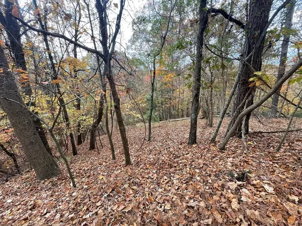 468 Cherokee Ct, Ellijay, GA 30540