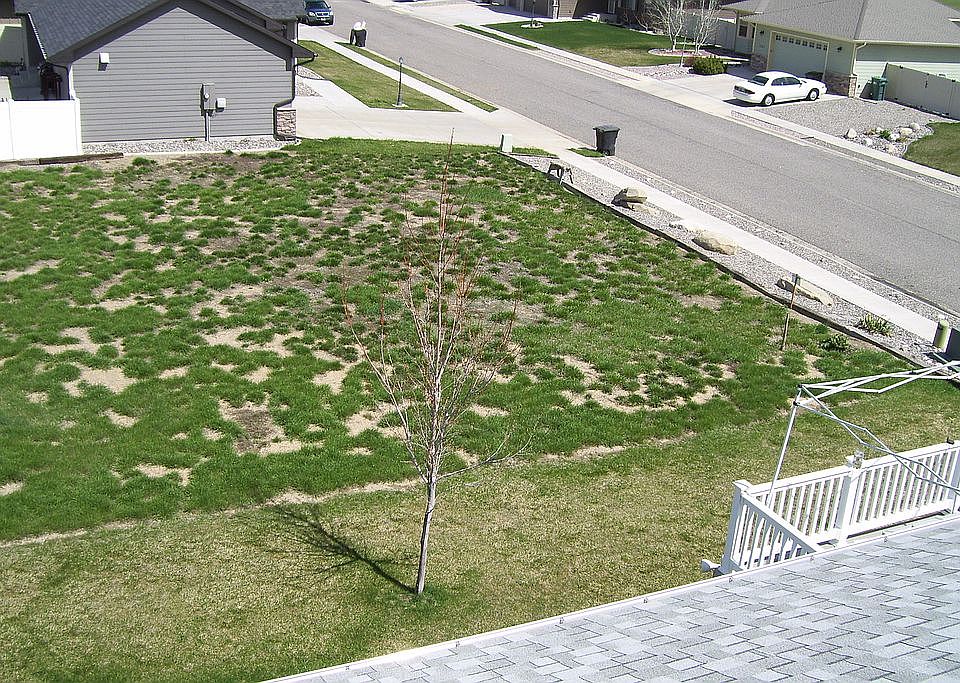 2nd image of 1530 Prairie Meadow Ln