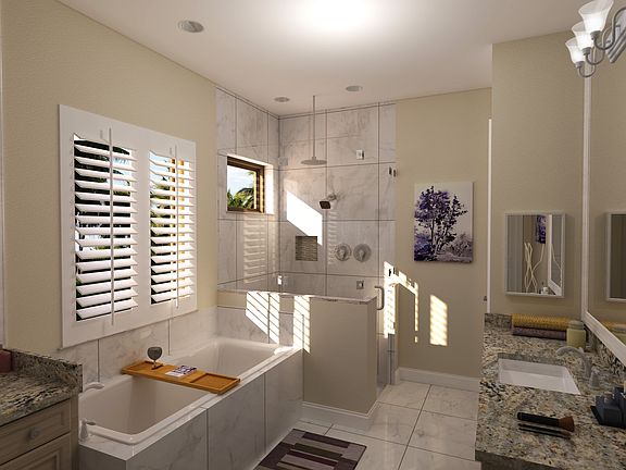 Owner s bath with tub and shower