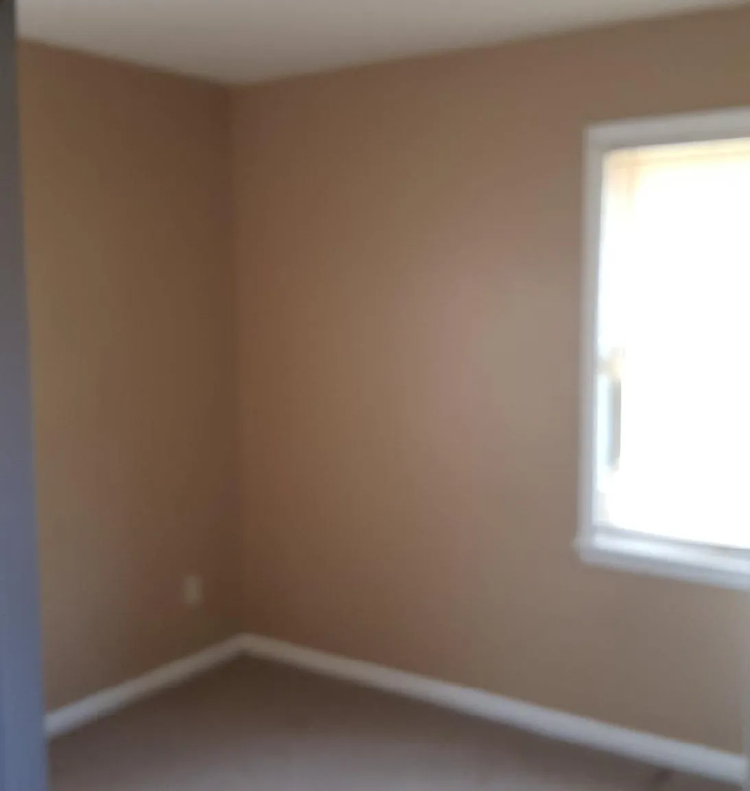 3 bed, 1495 sqft, $1,495 — Photo 2
