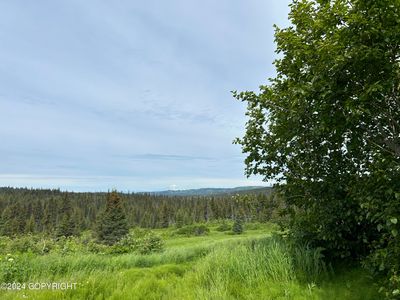 64142 Shelton Ave E, Homer, AK, 99603