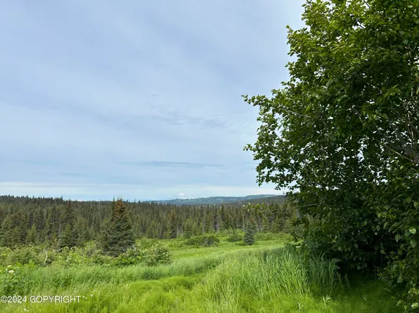 64142 Shelton Ave E, Homer, AK 99603