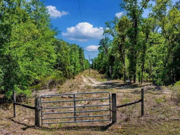 TBD NE 75 STREET, WILLISTON, FL 32696