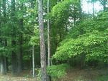 Photo of Mobile Home Lot