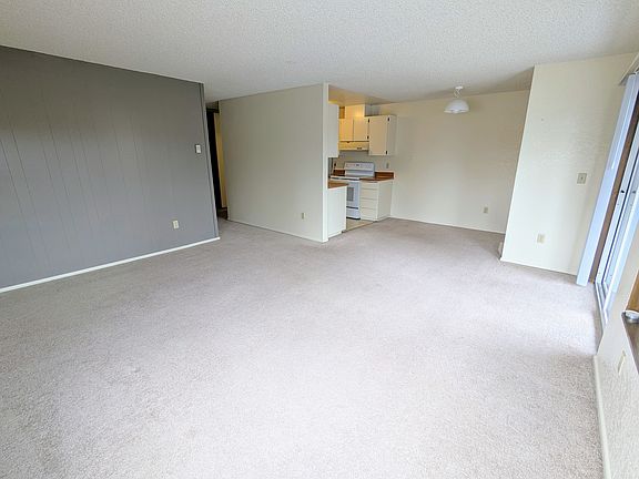 Living room and dining area