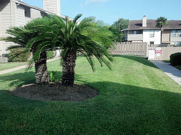 More landscaping.