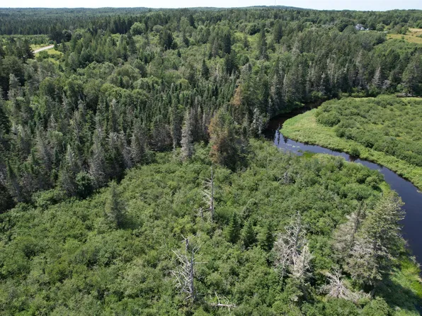 Lot 9 Wilcox Road, Trescott Twp, ME 04652