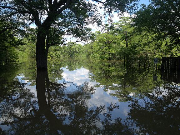 Shell Landing on Holmes Cr