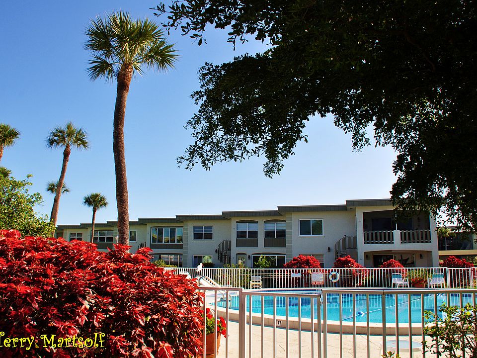 Red Bushes now Palm Trees.