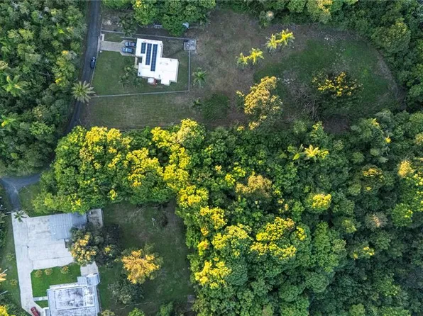 Barrio Candelaria, Vega Alta, PR 00692