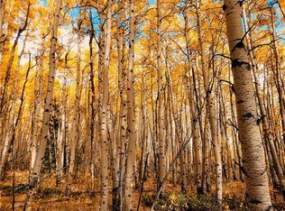 945 Breakneck Pass Ct, Fairplay, CO 80440