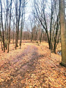 PARCEL B1 Foley Rd, Fenton, MI, 48430