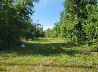 Vacant Se Parliament Trl, Lee, FL 32059