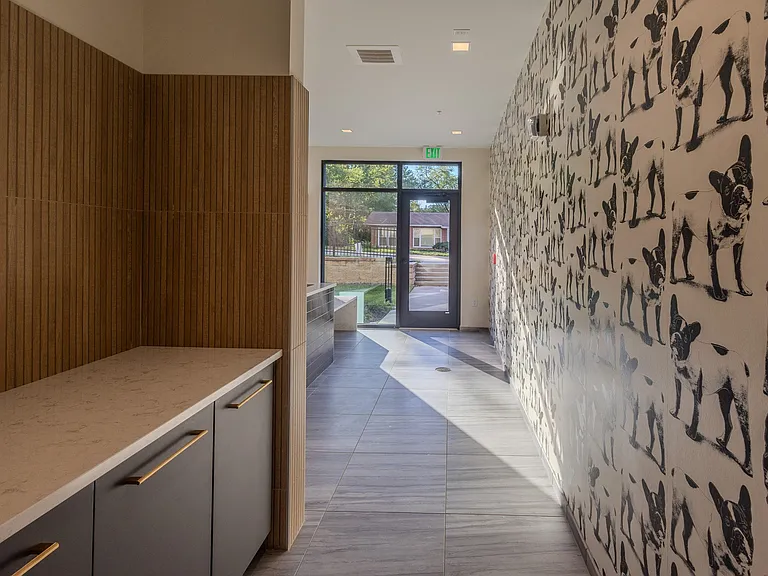 The Clover at Olive Crossing — Photo 50