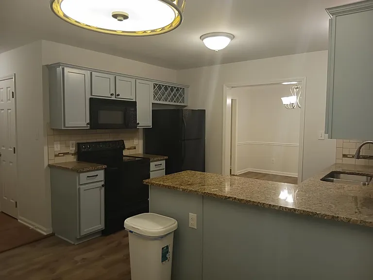 113 Trailing Fig Ct — Photo 11