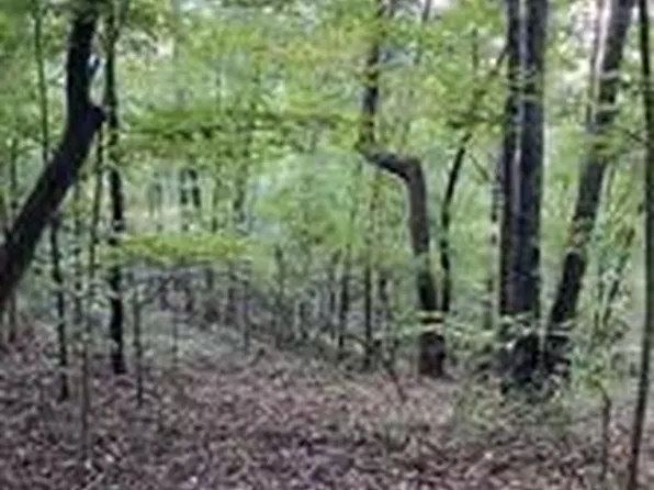 0 Highway 136 Rd W, Talking Rock, GA 30175
