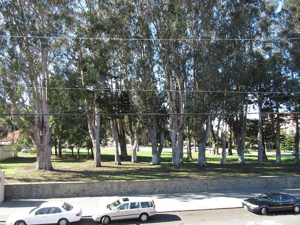 Cow Hollow/Presidio 1bd w/private deck, hrwd fls — Photo 3