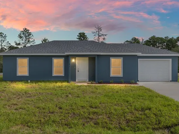 21 Fisher Pl, Ocklawaha, FL 32179