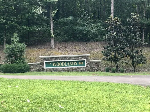 105 Rocky Top Dr, Old Fort, TN 37362