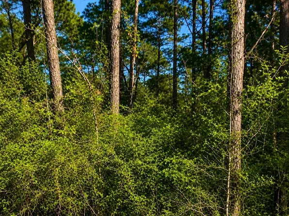 0 Curry St Lot 22, Livingston, TX 77351