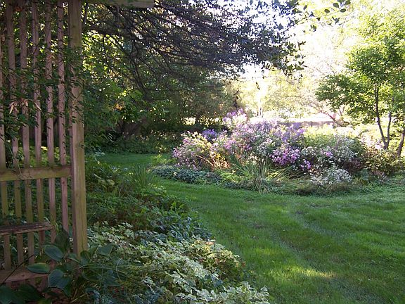 Back yard