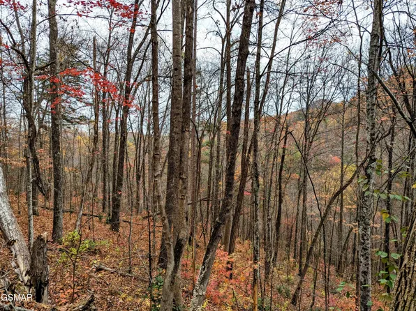 2313 Grey Fox Run Lot 13, Sevierville, TN 37862