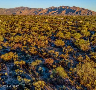 10700 N Paisano Ave, Tucson, AZ, 85742