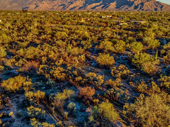 10700 N Paisano Ave, Tucson, AZ 85742