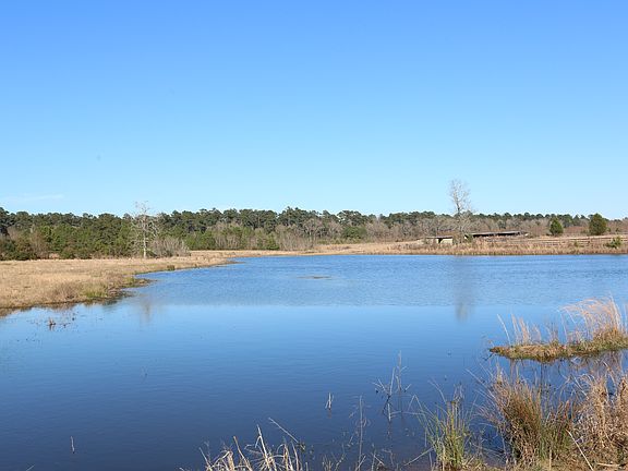 pond