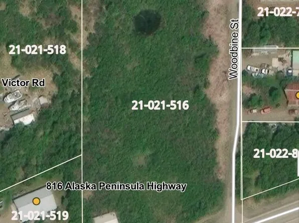 L1 Alaska Peninsula Hwy, South Naknek, AK 99670