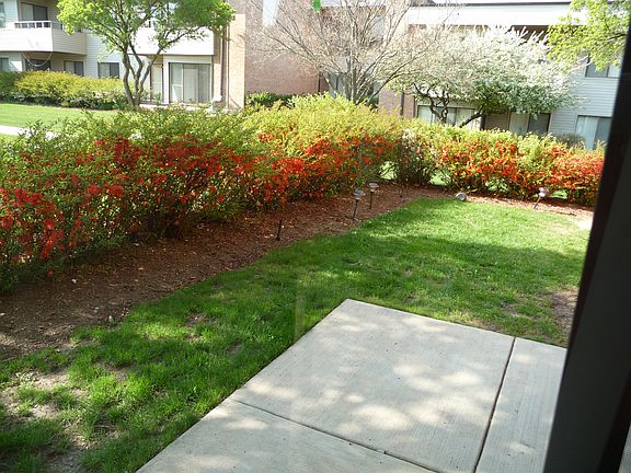 Private Patio and Yard