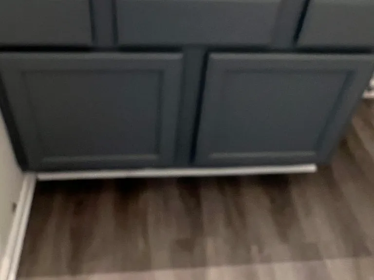 910 Carlton Pointe Ter — Photo 2