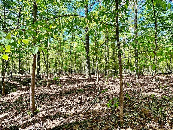 3rd image of State Highway 323 E