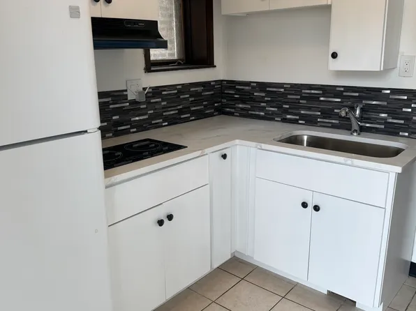 3139 S Parnell Ave #2, Chicago, IL 60616