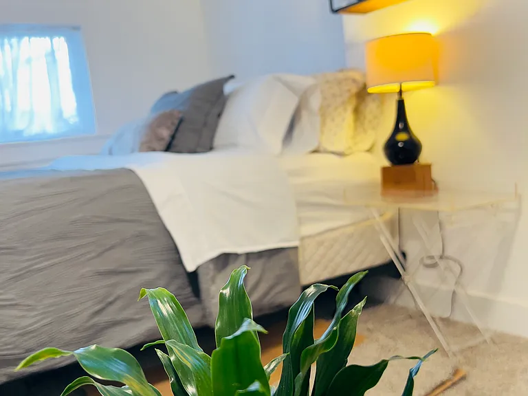 W 100 N — Photo 16