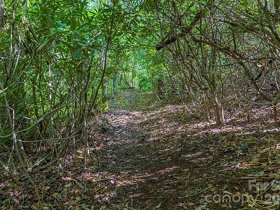 3rd image of River Camp Long Ridge Rd