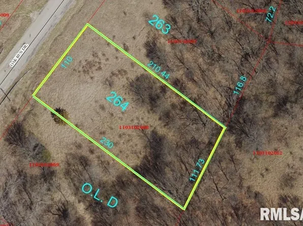 5264 Oak Run Dr, Dahinda, IL 61428