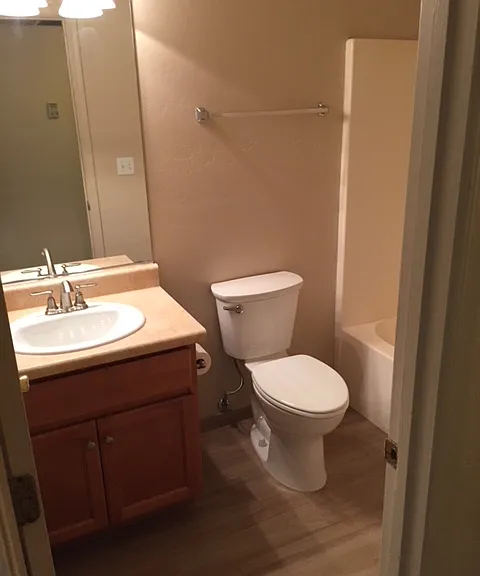 Hall bath - shower, tub, toilet & sink