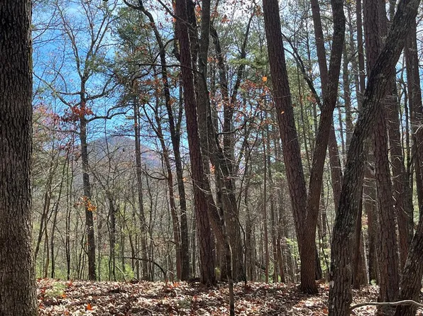 69 Tipton Springs Rd, Morganton, GA 30560
