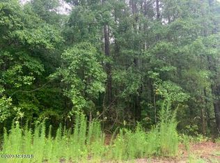 127 Country View Ct, Little River, SC 29566