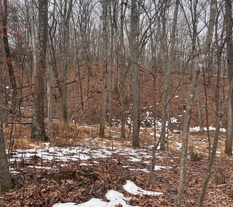 1st image of Hummingbird Ln