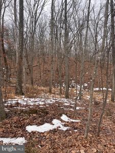 Hummingbird Ln, Star Tannery, VA, 22654