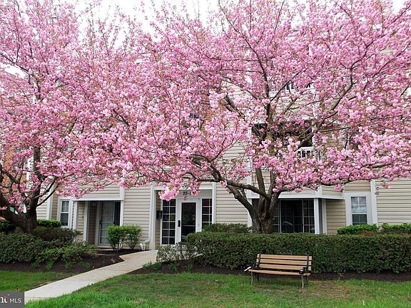 3rd image of 43 Wickham Ct #43