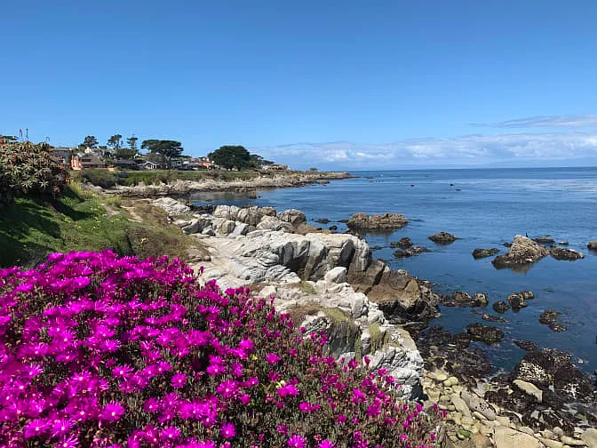 1st St, Pacific Grove — Photo 4