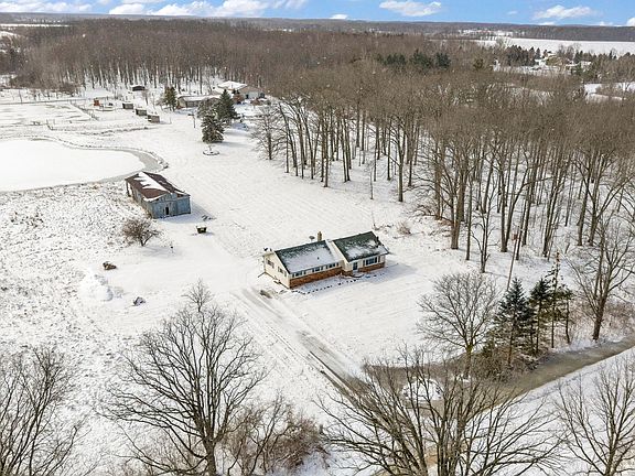 4th image of 12337 Dunn Rd