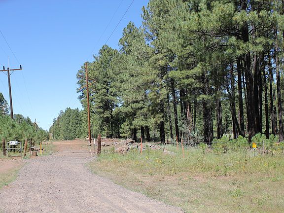 3rd image of 4620 Sky Hi Rd