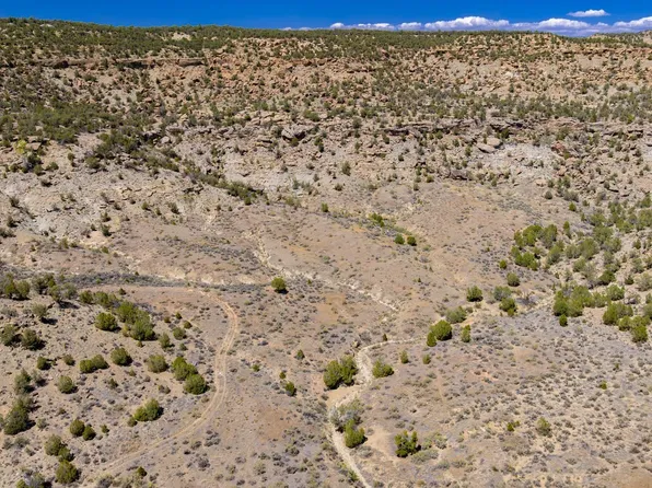 Highway 65, De Beque, CO 81630