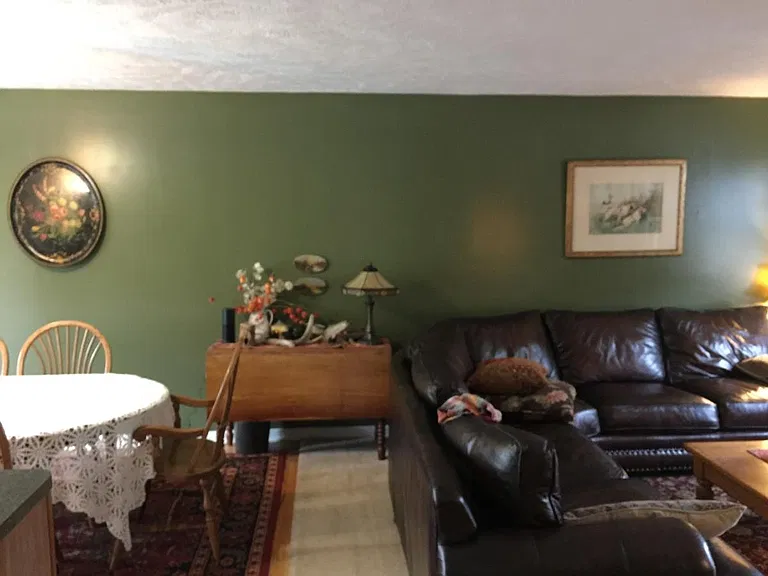 View of dining and living area